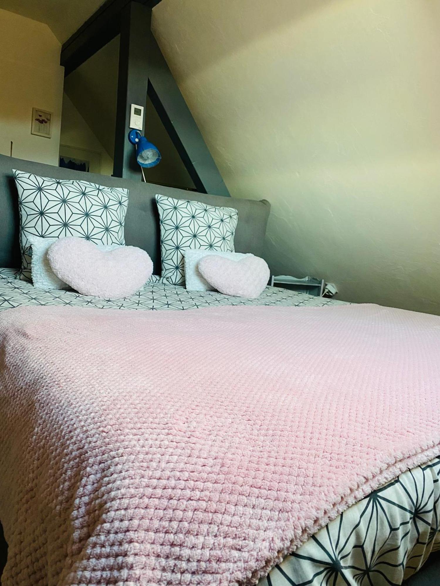 Les Appartements D'Estelle La Petite-Pierre Εξωτερικό φωτογραφία