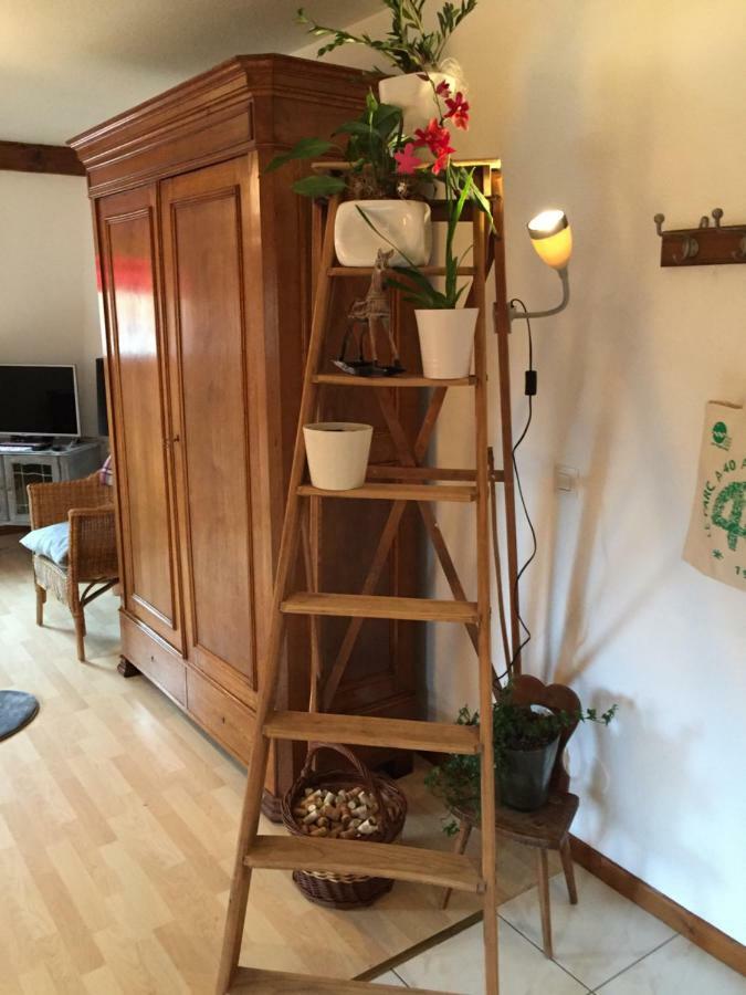 Les Appartements D'Estelle La Petite-Pierre Εξωτερικό φωτογραφία