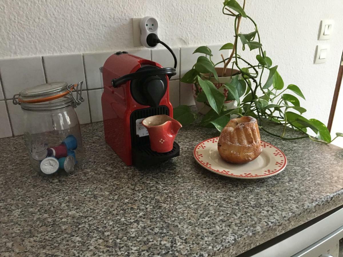 Les Appartements D'Estelle La Petite-Pierre Εξωτερικό φωτογραφία