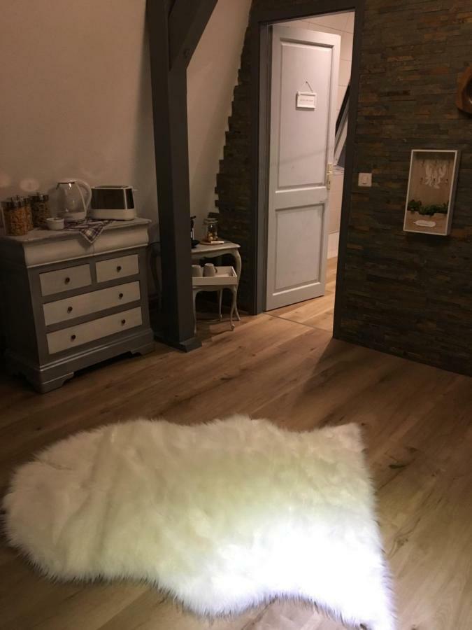 Les Appartements D'Estelle La Petite-Pierre Εξωτερικό φωτογραφία