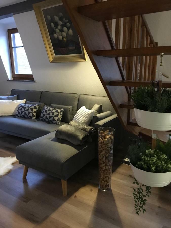 Les Appartements D'Estelle La Petite-Pierre Εξωτερικό φωτογραφία